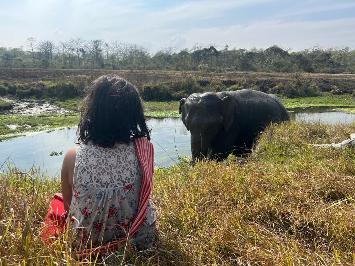 Our Little guest observing elephant silently
