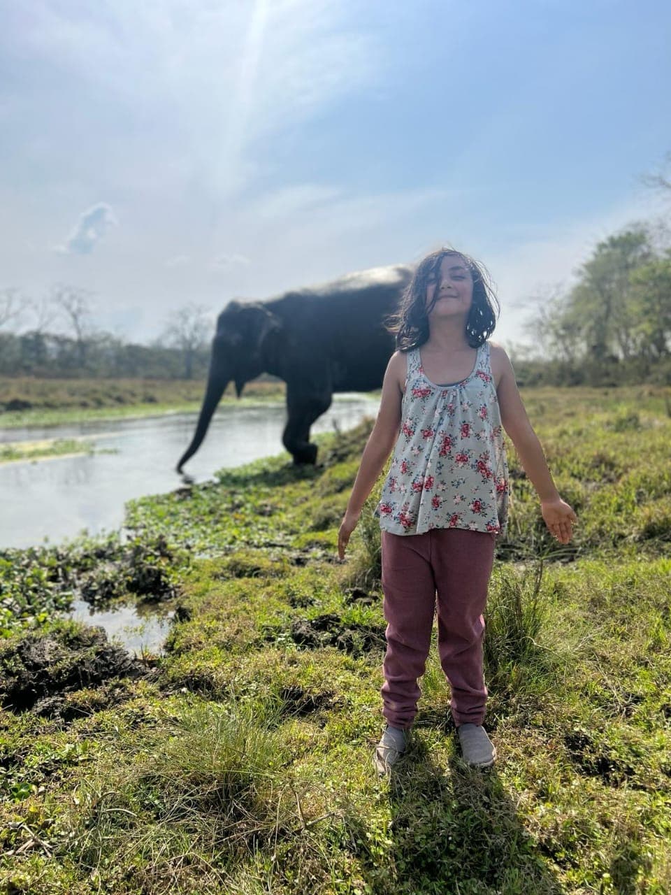 Our Little guest wants chain-free elephants
