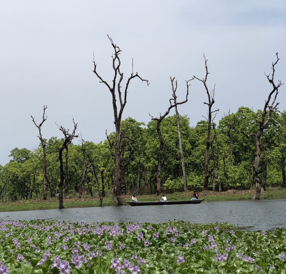 Kingfisher lake canoe tour